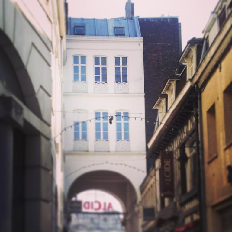 Nestyou Lille Centre Ville Extérieur photo